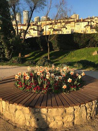 Golet Park